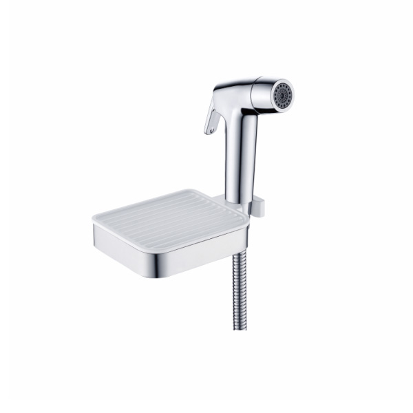 Soap dish holder with spray holder