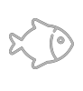 魚(yú)