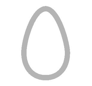 蛋
