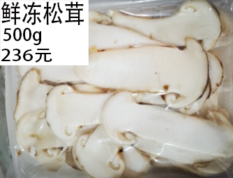 鮮凍松茸