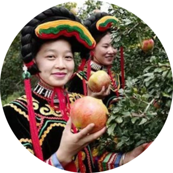 宏林農(nóng)產(chǎn)品 宏林農(nóng)產(chǎn)品
