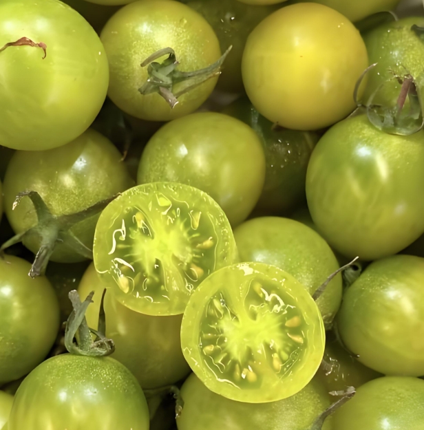 青番茄