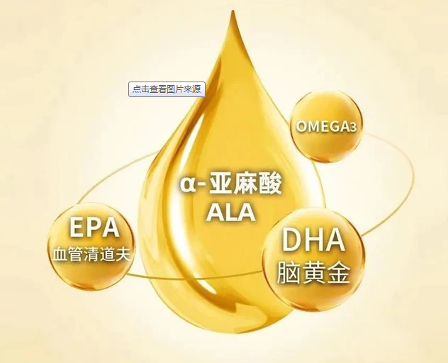 α-亚麻酸的来源及在体内的代谢过程及调控机制