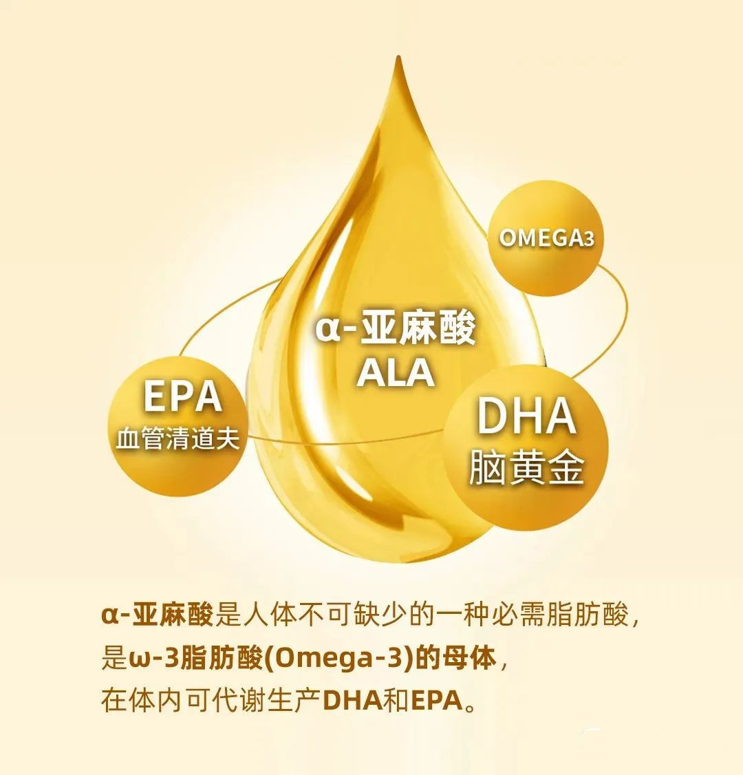 世界卫生组织（WHO）倡导：ω-6脂肪酸和ω-3脂肪酸科学比例（4:1）