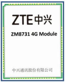 ZM8731