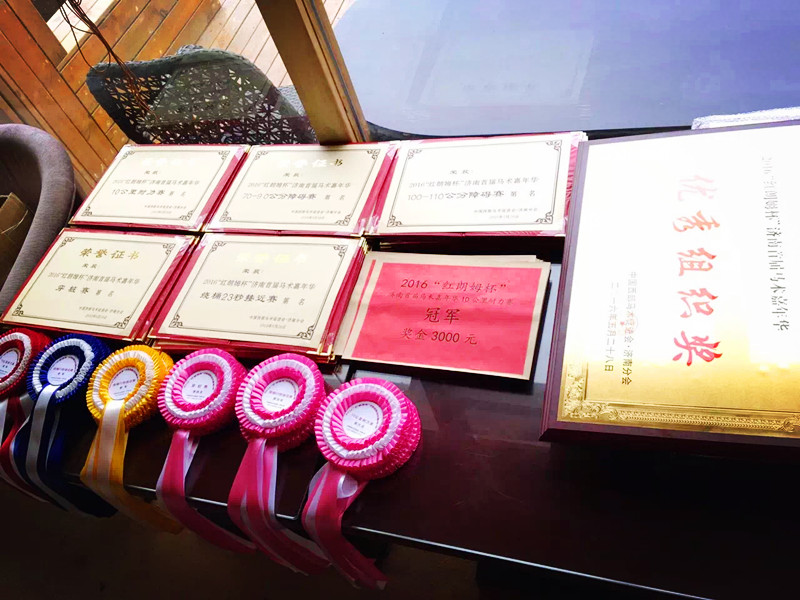 “红朗姆杯”济南首届马术嘉年华在济南国际赛马场成功举办