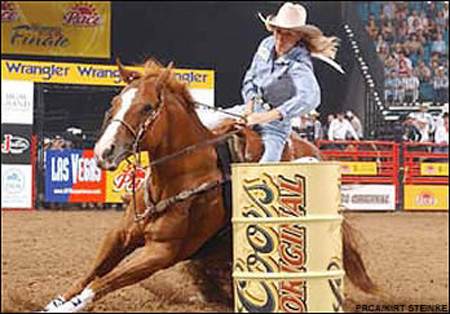 西部竞技马的营养需求管理