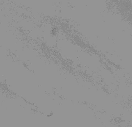 HS-202304288