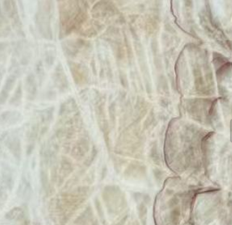 Wooden Onyx