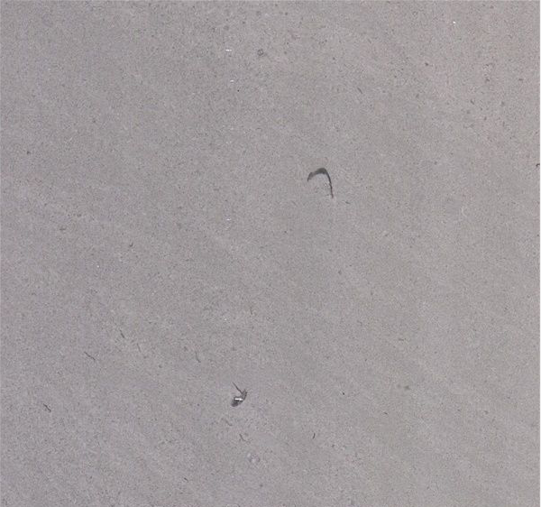 Cinderella Grey Marble