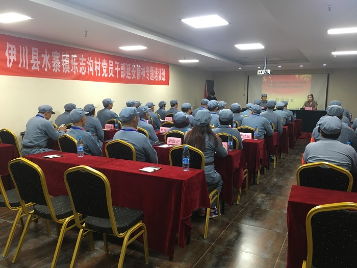 专题教学