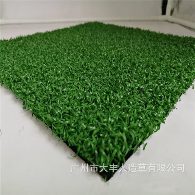 多功能草-高尔夫球场