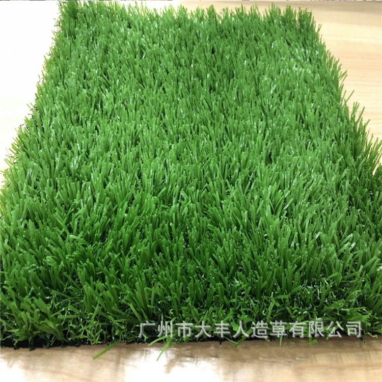 高密度免填充运动草