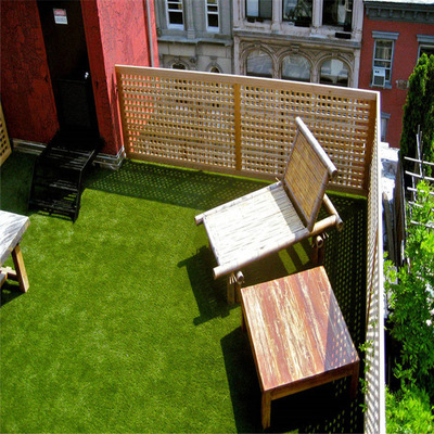 家庭院子景观草