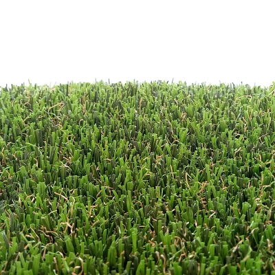 高磅重高密度园林绿化草