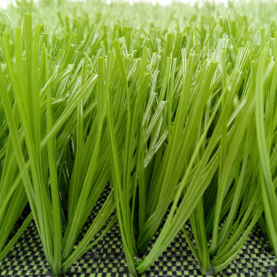 绿色底布足球草