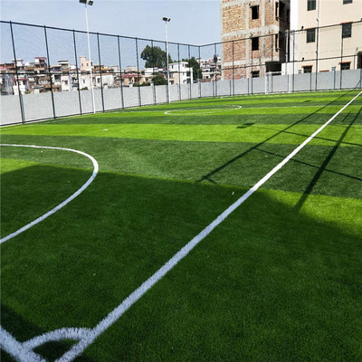 村级运动场地足球草