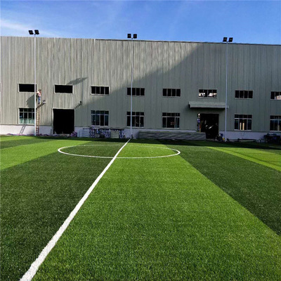 工业园球场足球草