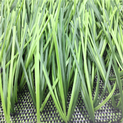 高磅重平板单丝足球草