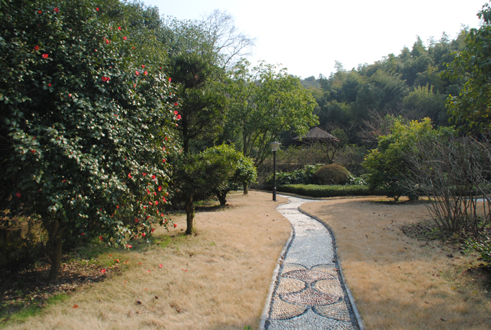 <span>公司环境</span>