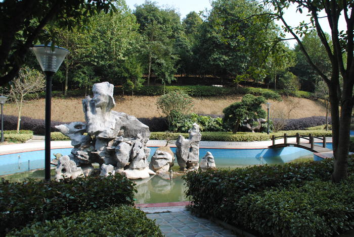 <span>公司环境</span>