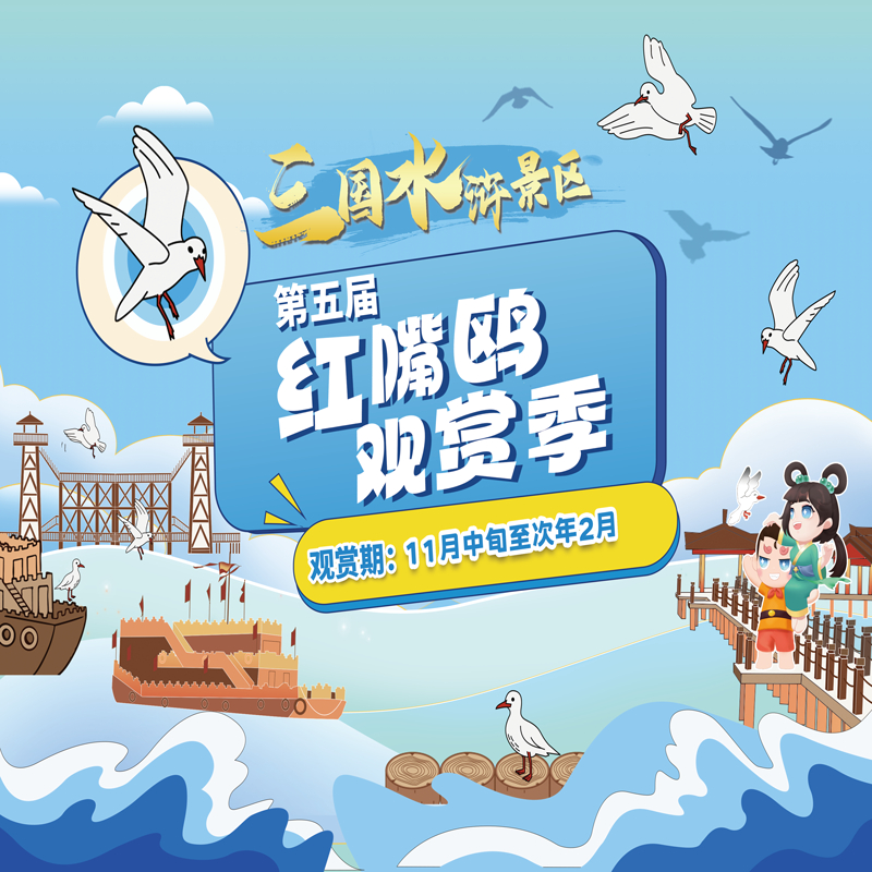 第五届红嘴鸥观赏季来啦！遇见山水湖畔的赏鸥打卡点