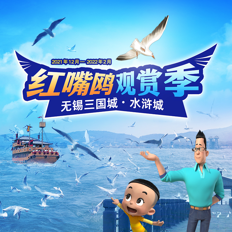 冬日奇妙之旅上线！你心心念念的红嘴鸥观赏季来啦~