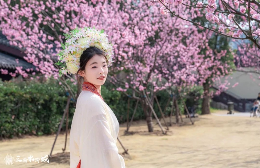 樱花开了？！三八妇女节来三国水浒城，你与春光共明媚！