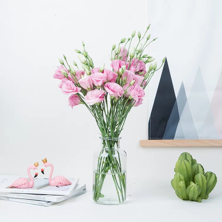 粉色洋桔梗鲜切花1扎10-15