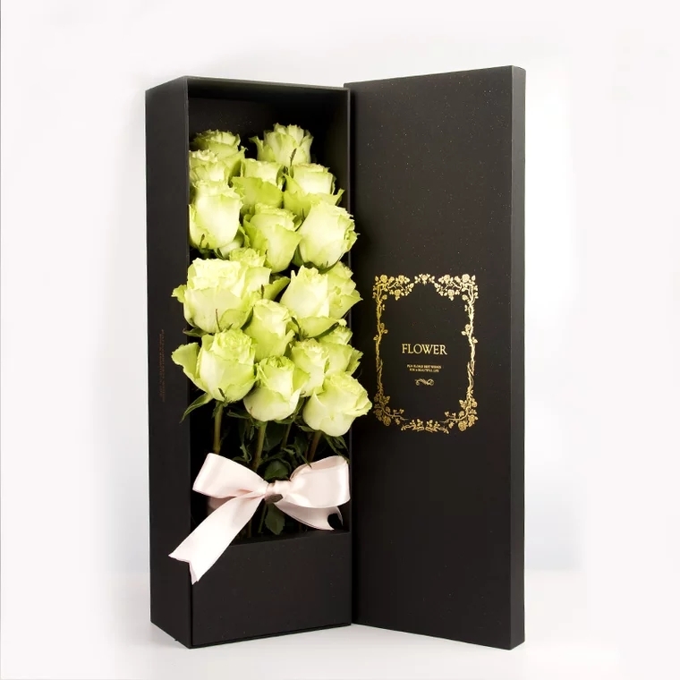 绿美人 CREEN BEAUTY