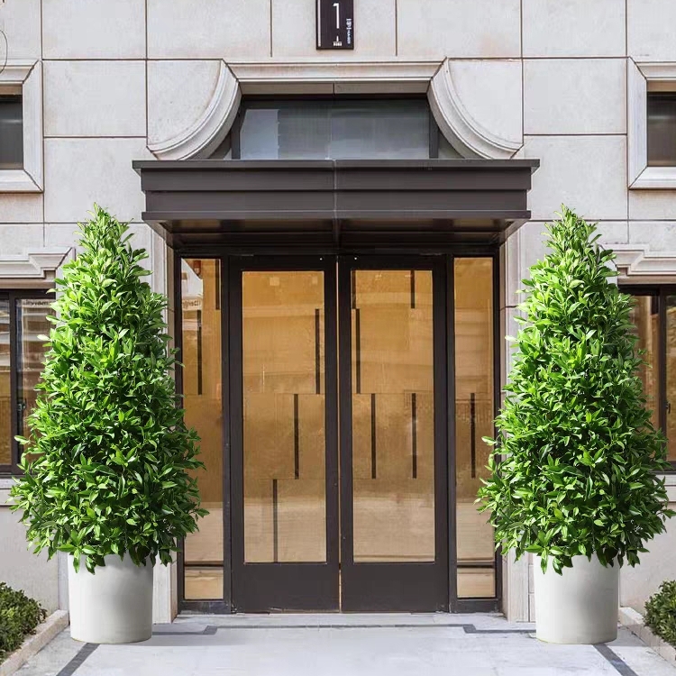 非洲茉莉 宝塔型植物盆栽