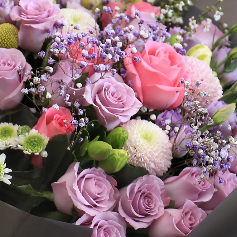 风的味道-19朵紫玫瑰花+3朵