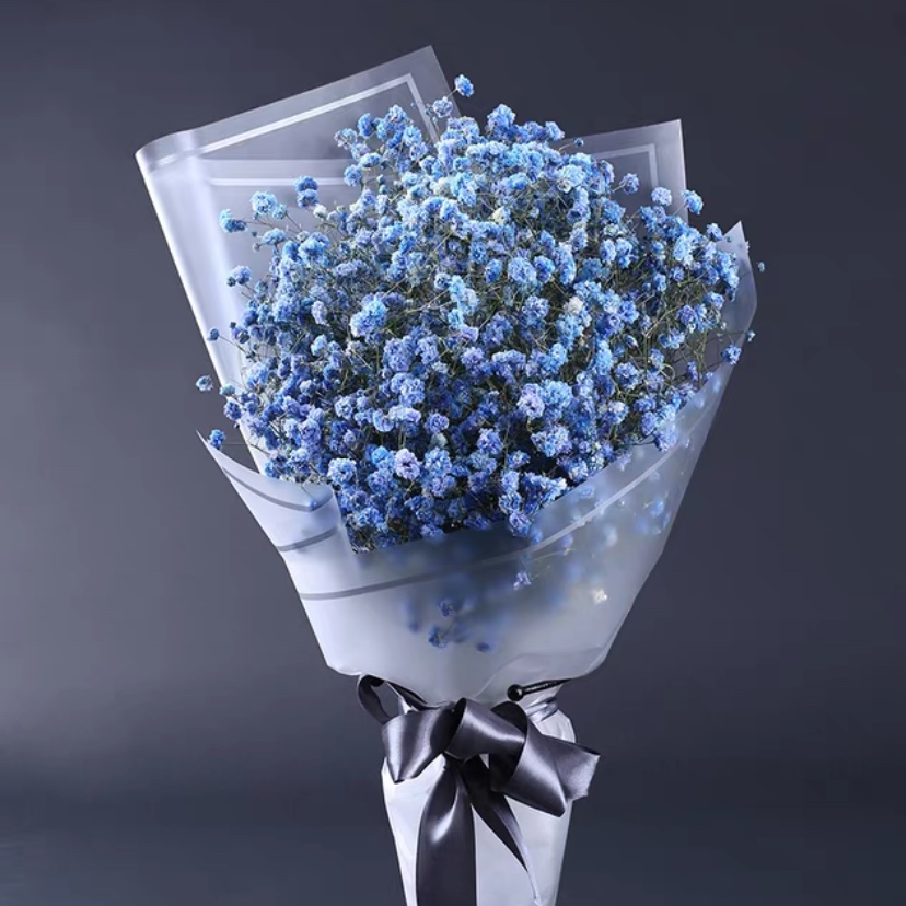 守护你-蓝色满天星精美花束包装