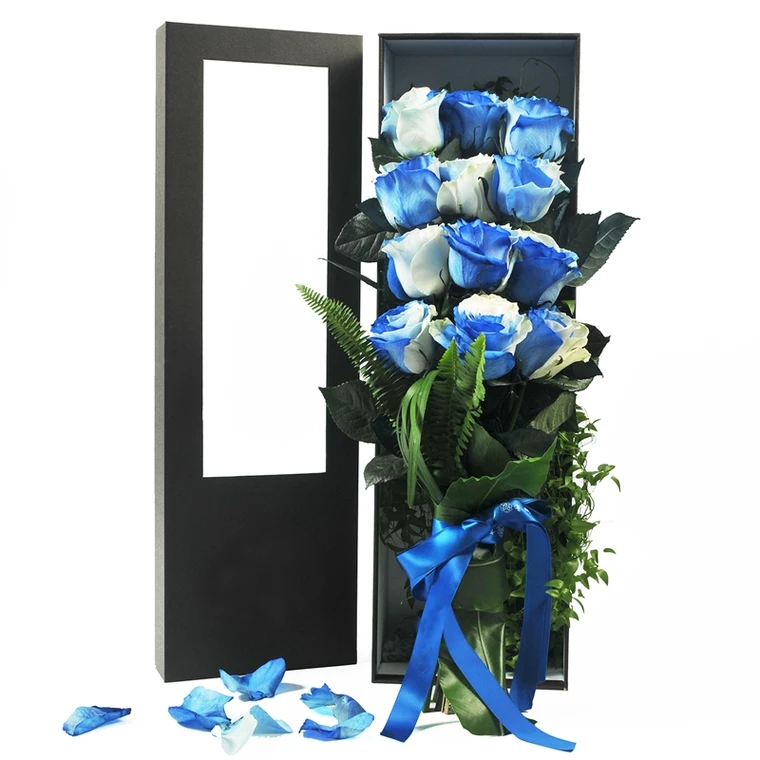 见证幸福-厄瓜多尔进口双色玫瑰