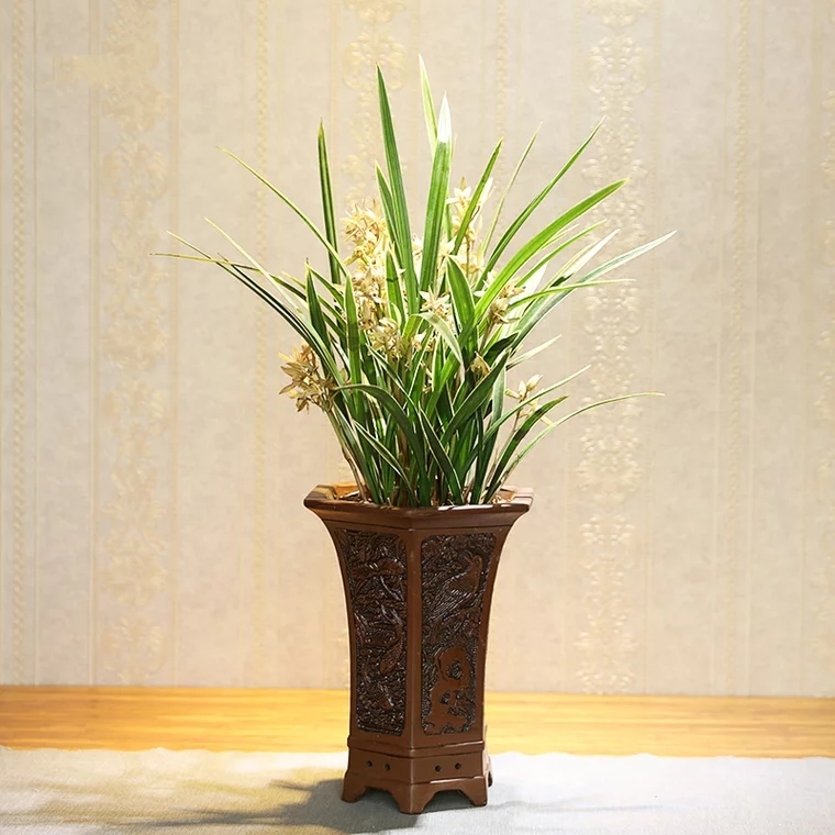 精品香兰盆栽 15032