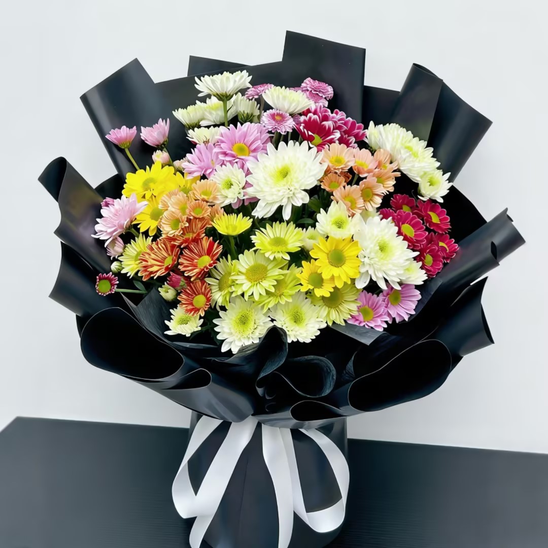 悠悠初心/各色小雏菊精美包装颜