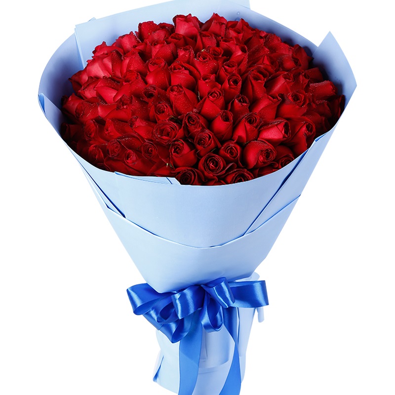 烈火之情-99朵红玫瑰花