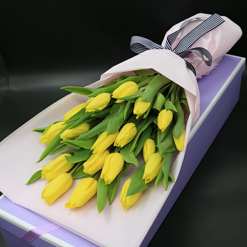 岁月美人-19朵黄色郁金香精美