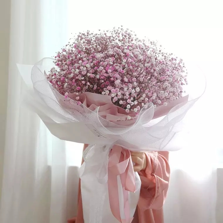 满天星辰 只因有你 004 粉