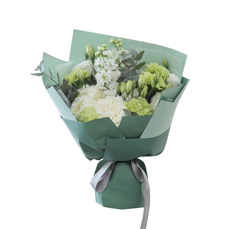 绿野仙踪【精选】