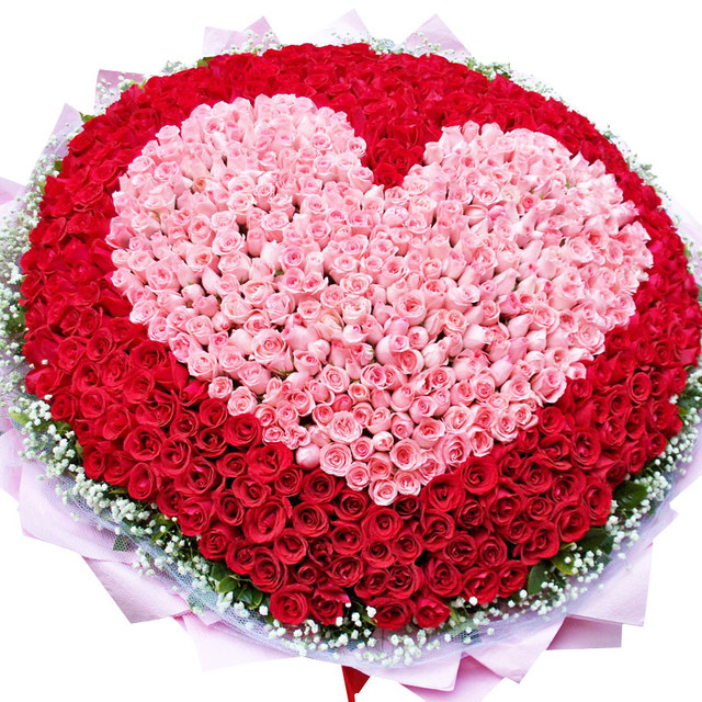 爱你的365天/365朵玫瑰花（红、粉玫瑰花）外围满天星精美花束包装