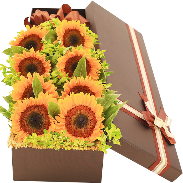 美好心愿——8朵向日葵配精美礼