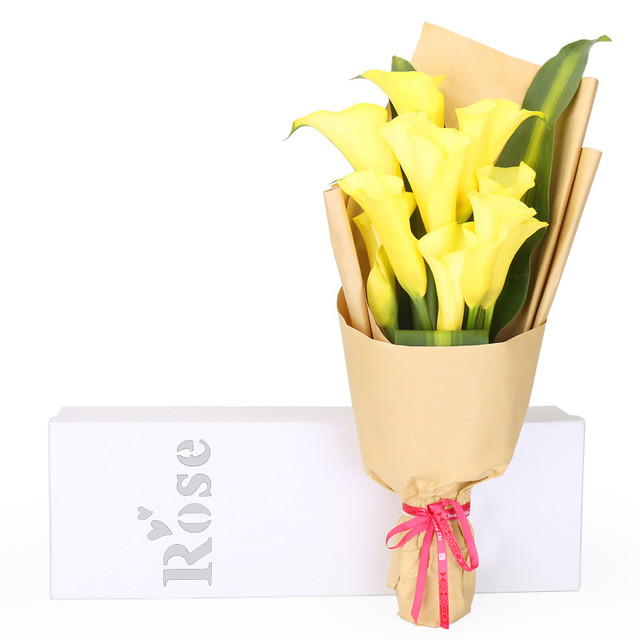 旧日时光——9朵黄色马蹄莲，搭