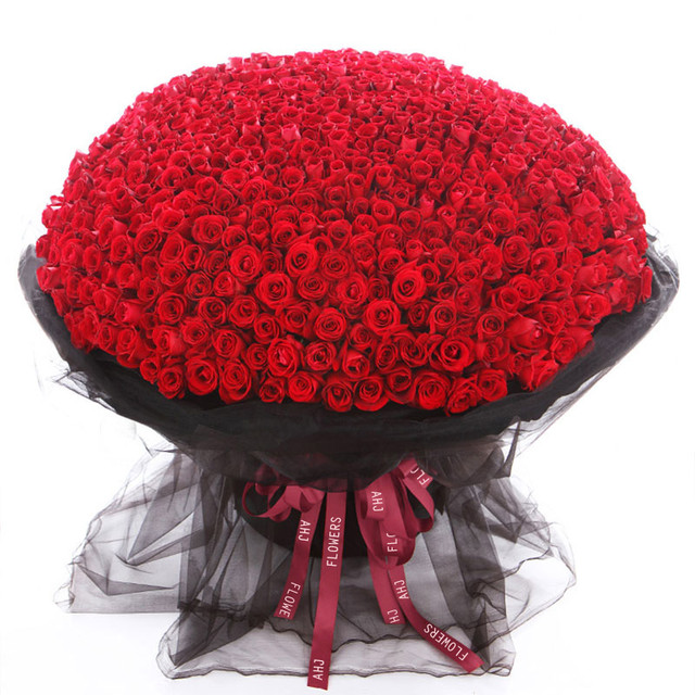 嫁给我吧——999朵红玫瑰花