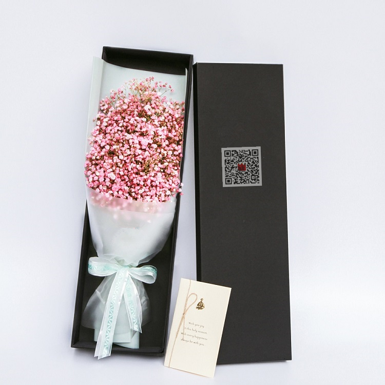 青春之歌-粉色满天星精美礼盒盛