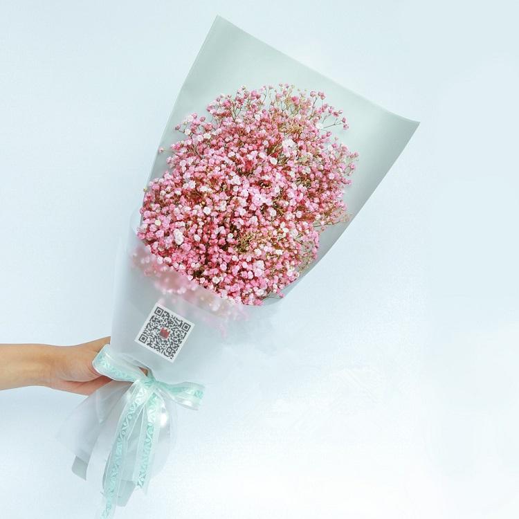 青春之歌-粉色满天星精美礼盒盛