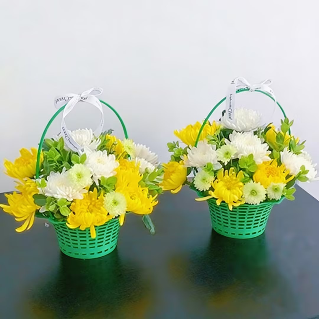 挂念/黄白菊花手提花篮祭祀鲜花