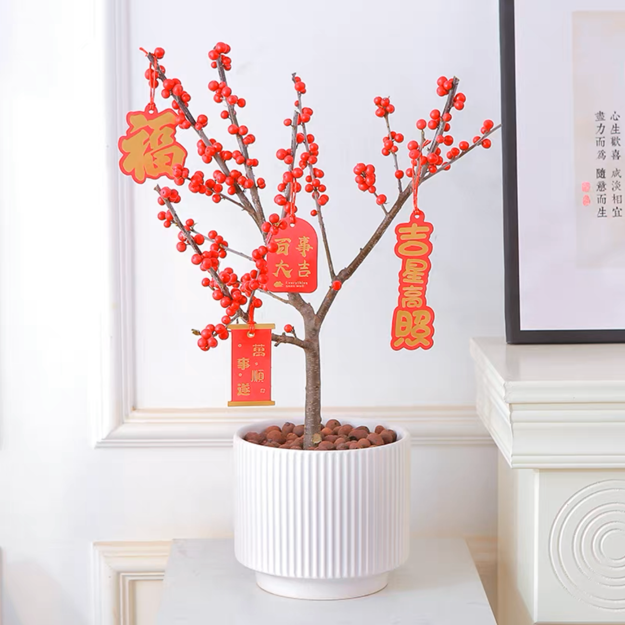 北美冬青植物盆栽 红豆盆栽花卉