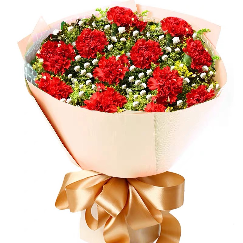 爱的陪伴-11朵红色康乃馨精美