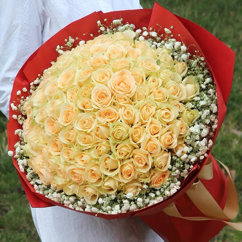 此生挚爱/99朵香槟玫瑰花精美